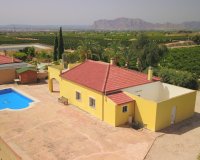 Sale - Finca / Country Property - Albatera - Albatera - Country