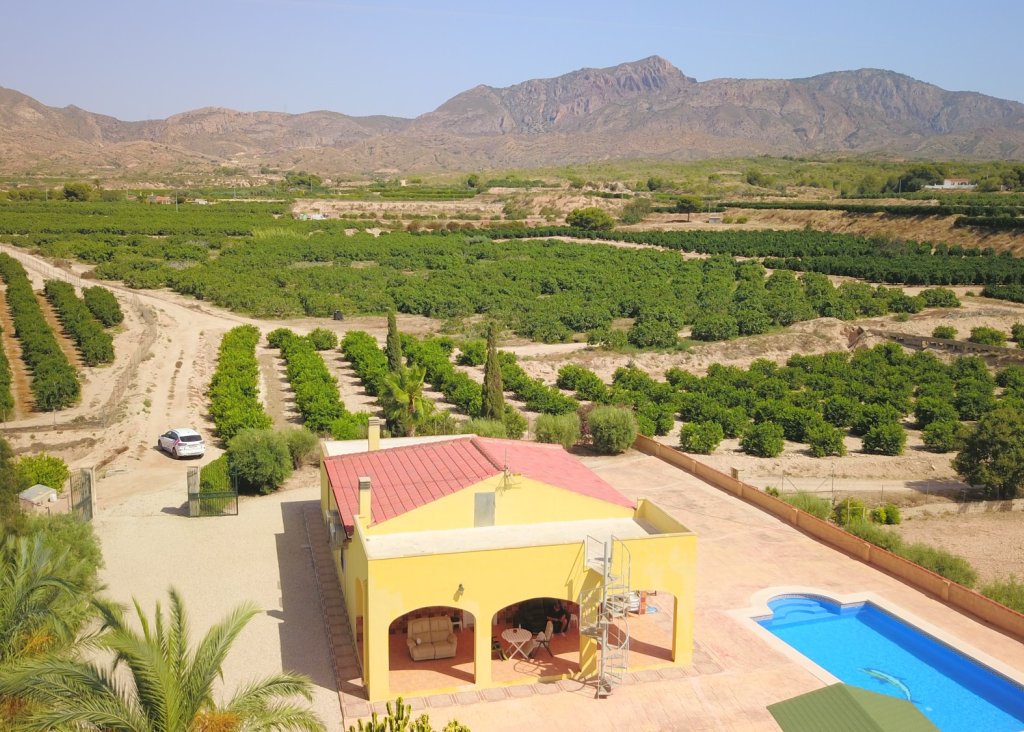 Sale - Finca / Country Property - Albatera - Albatera - Country