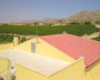 Sale - Finca / Country Property - Albatera - Albatera - Country