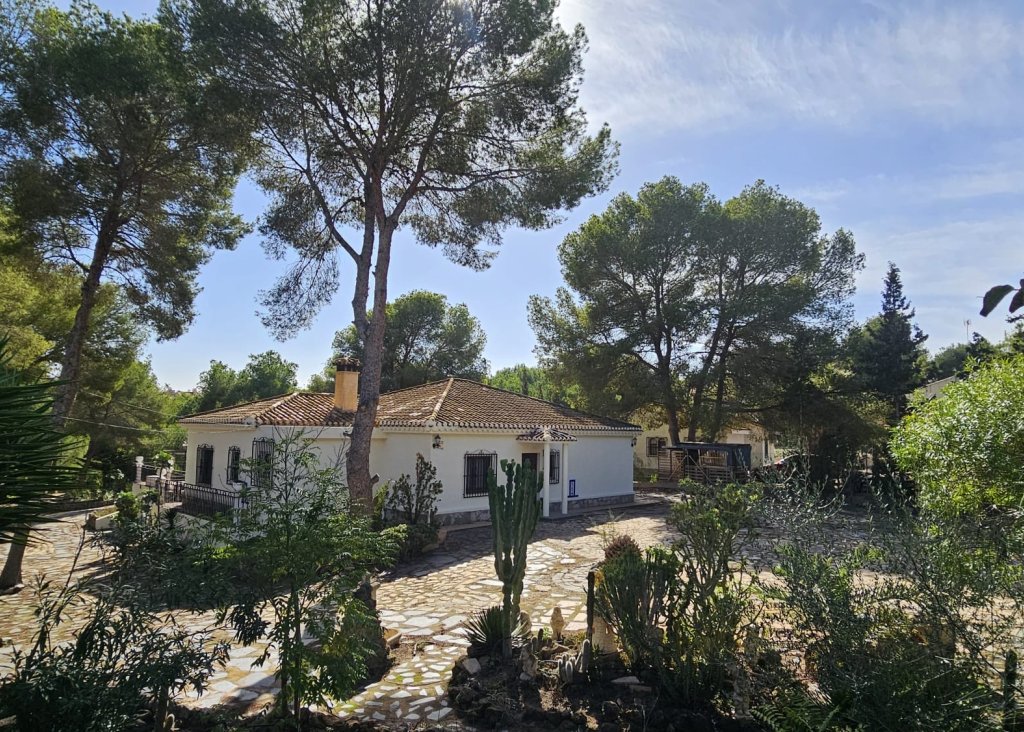 Sale - Finca / Country Property - Algorfa - Montemar