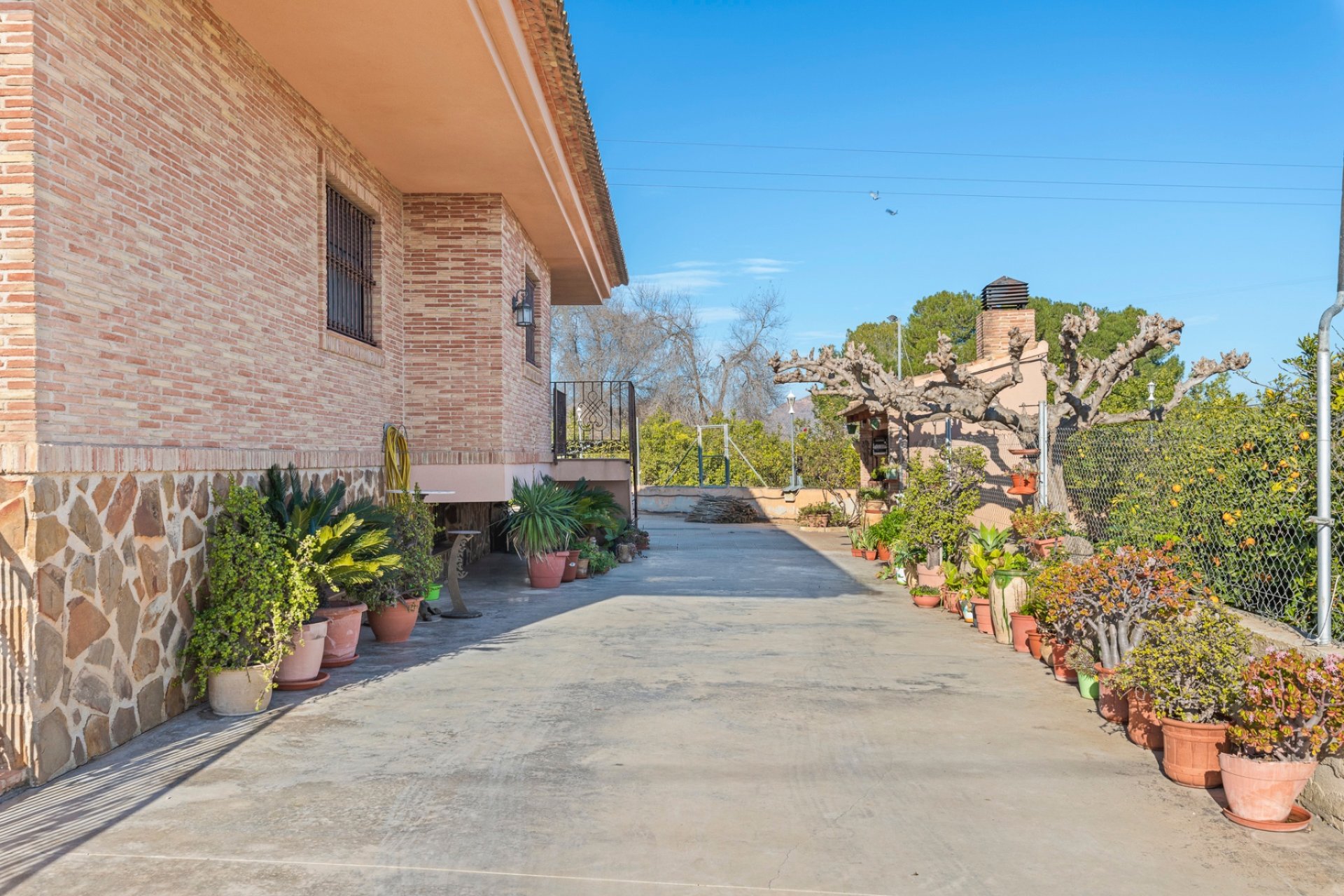 Sale - Finca / Country Property - Beniel - Carretera de Beniel