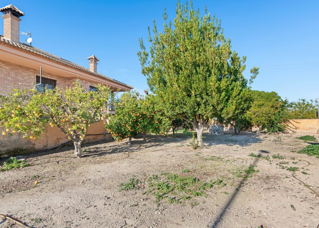 Sale - Finca / Country Property - Beniel - Carretera de Beniel