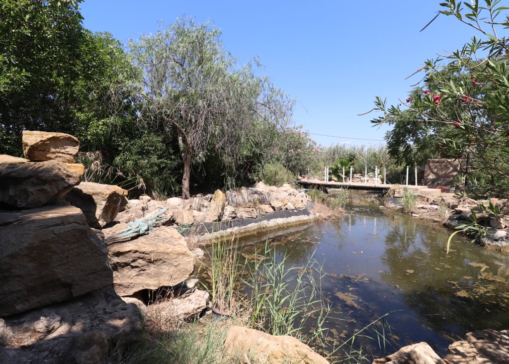 Sale - Finca / Country Property - Catral - Catral - Country