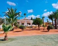 Sale - Finca / Country Property - Catral - Catral - Country