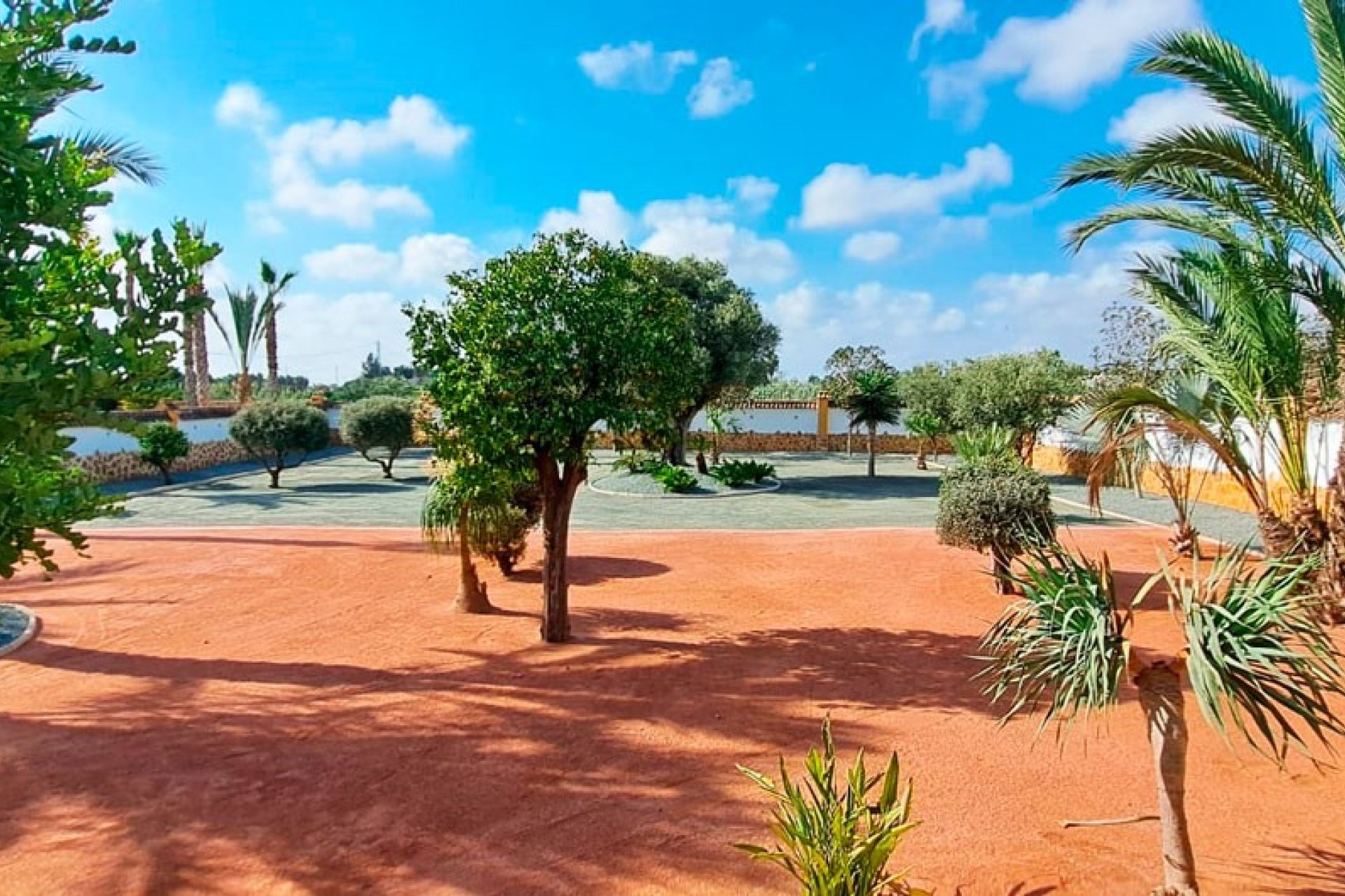 Sale - Finca / Country Property - Catral - Catral - Country