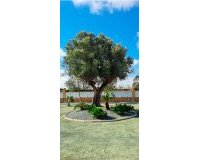 Sale - Finca / Country Property - Catral - Catral - Country