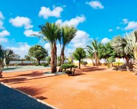 Sale - Finca / Country Property - Catral - Catral - Country