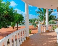 Sale - Finca / Country Property - Catral - Catral - Country