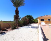 Sale - Finca / Country Property - Catral - Catral - Country