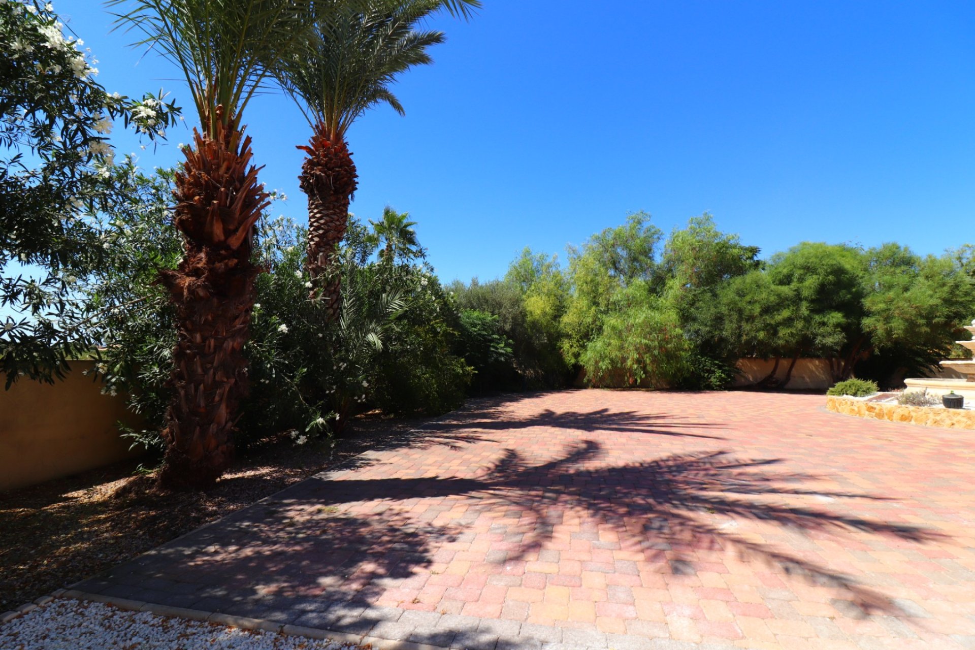 Sale - Finca / Country Property - Catral - Catral - Country