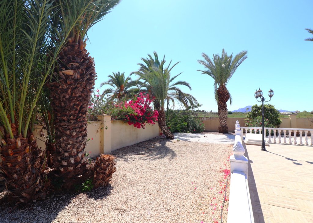 Sale - Finca / Country Property - Catral - Catral - Country