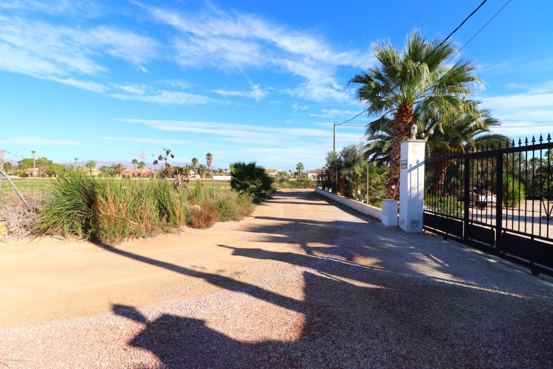 Sale - Finca / Country Property - Catral - Catral - Country