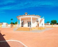 Sale - Finca / Country Property - Catral - Catral - Country