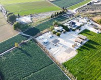 Sale - Finca / Country Property - Dolores - Dolores - Country