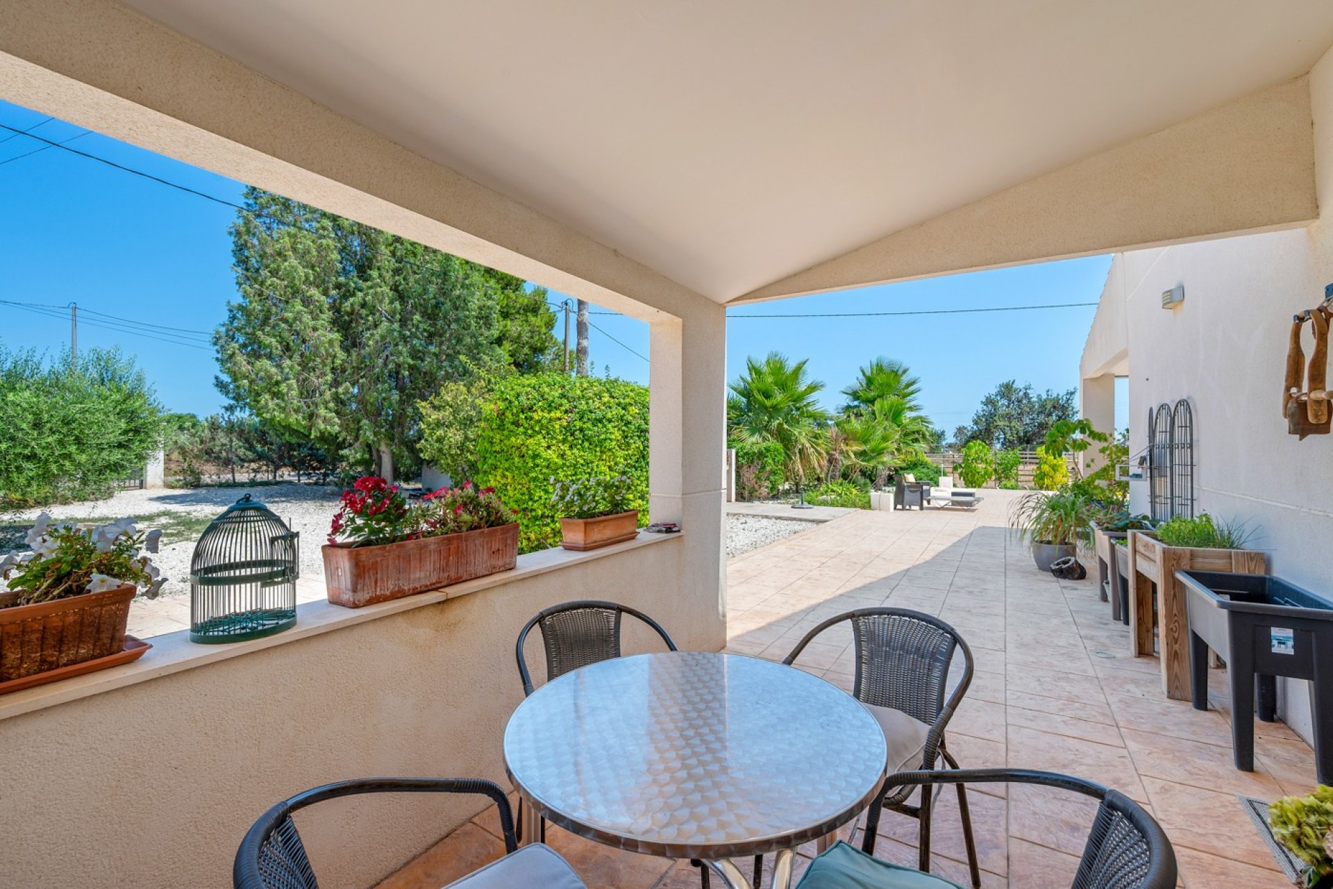 Sale - Finca / Country Property - Elche/Elx - Elche