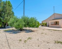 Sale - Finca / Country Property - Elche/Elx - Elche