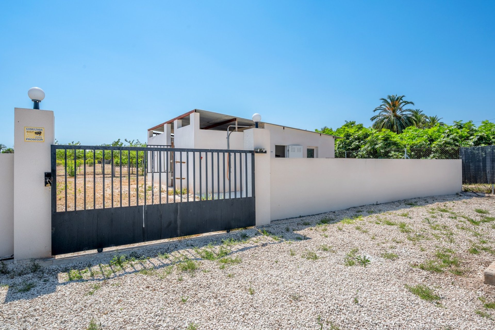Sale - Finca / Country Property - Elche/Elx - Elche