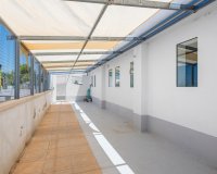 Sale - Finca / Country Property - Los Montesinos - La Herrada
