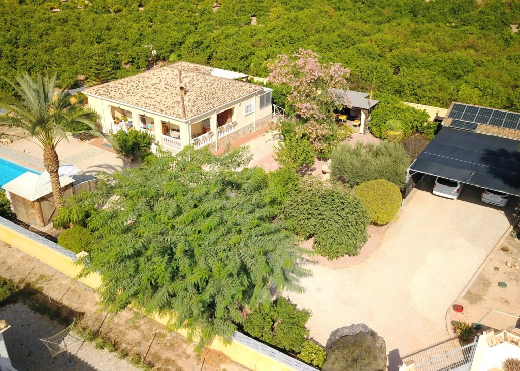 Sale - Finca / Country Property - Orihuela - La Campaneta