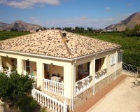 Sale - Finca / Country Property - Orihuela - La Campaneta