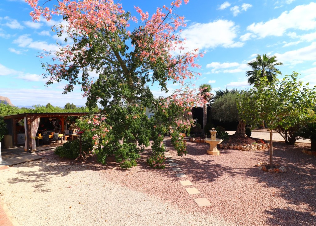 Sale - Finca / Country Property - Orihuela - La Campaneta