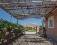 Sale - Finca / Country Property - Orihuela - San Bartolome