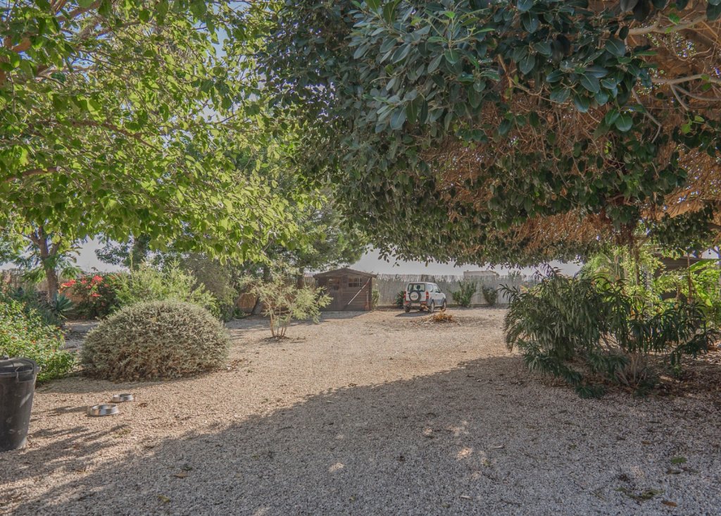 Sale - Finca / Country Property - Orihuela - San Bartolome