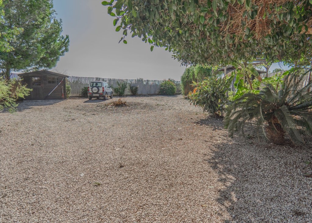 Sale - Finca / Country Property - Orihuela - San Bartolome