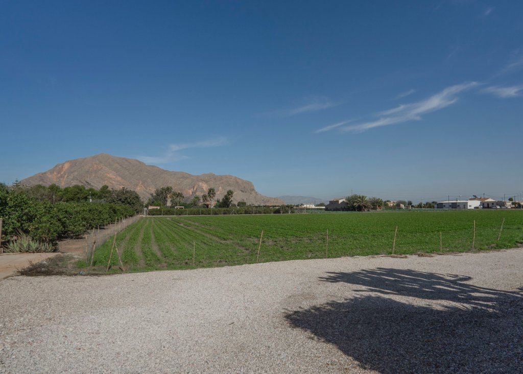 Sale - Finca / Country Property - Orihuela - San Bartolome