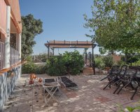 Sale - Finca / Country Property - Orihuela - San Bartolome