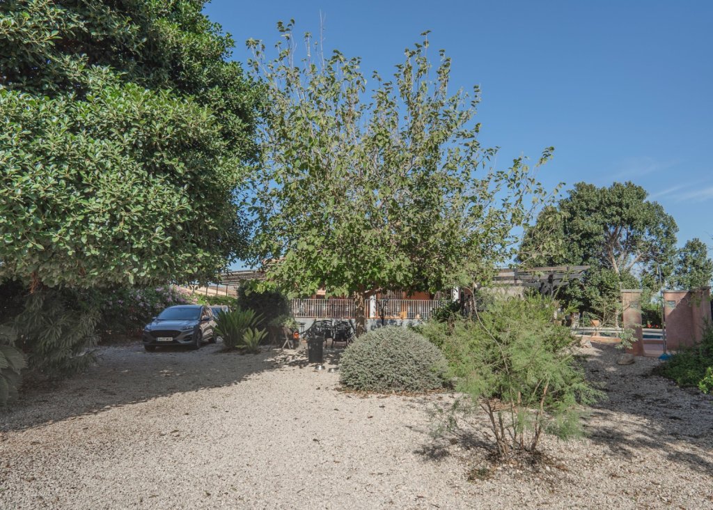 Sale - Finca / Country Property - Orihuela - San Bartolome