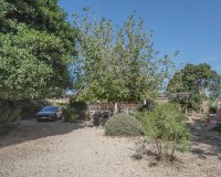 Sale - Finca / Country Property - Orihuela - San Bartolome