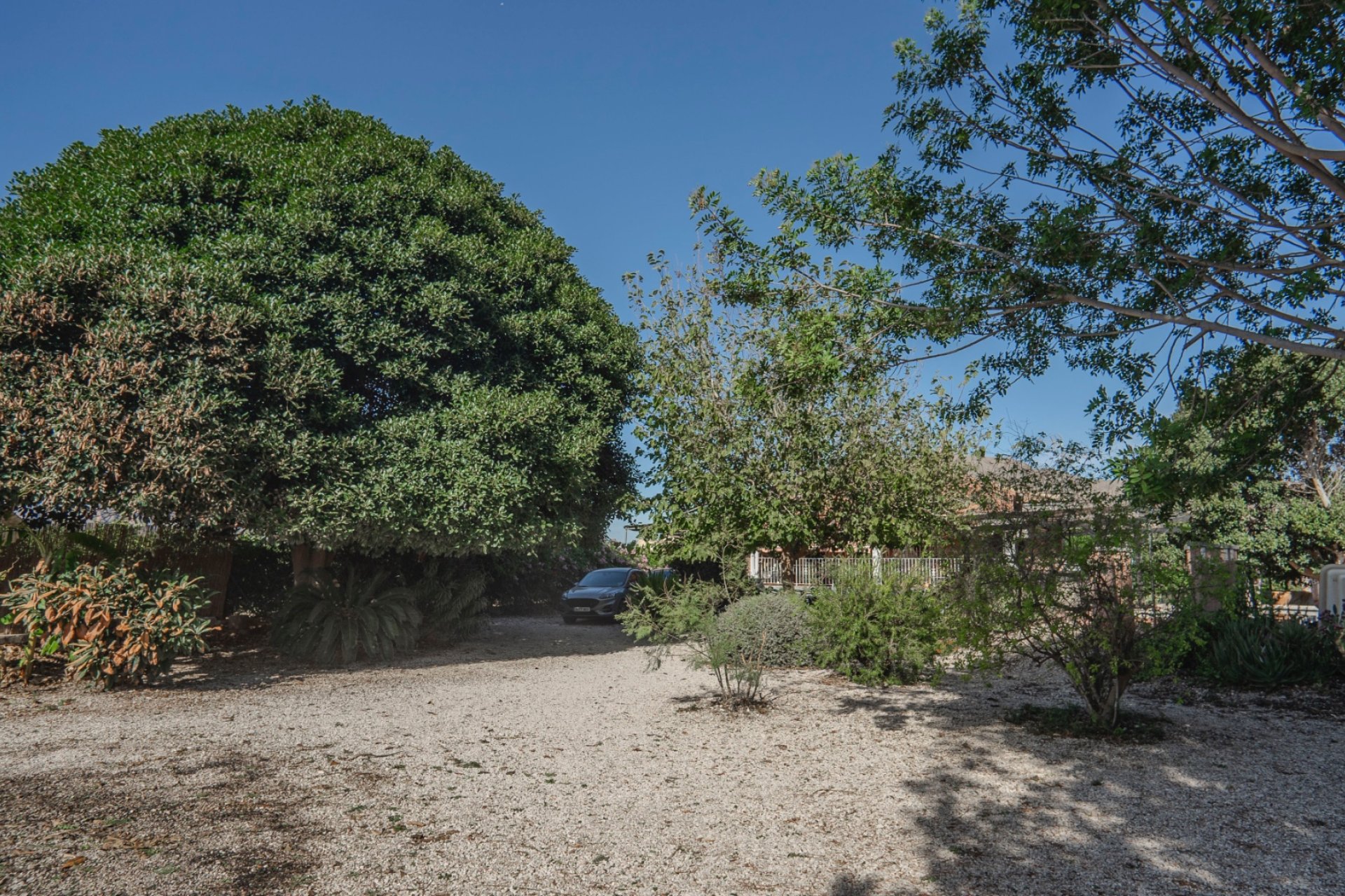 Sale - Finca / Country Property - Orihuela - San Bartolome