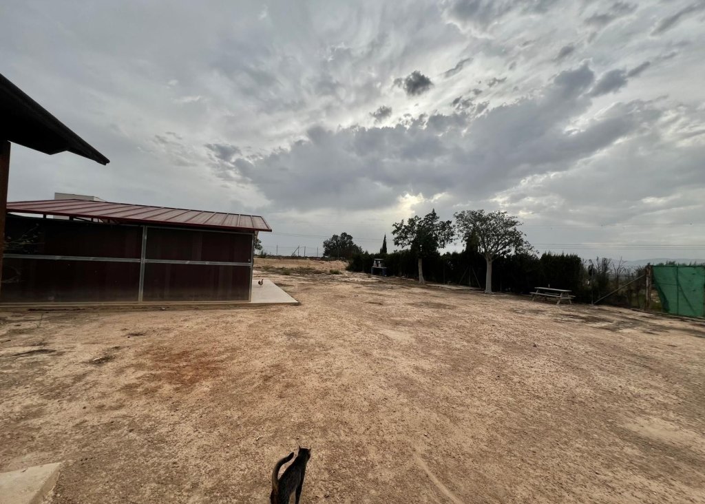 Sale - Finca / Country Property - San Fulgencio - San Fulgencio - Country