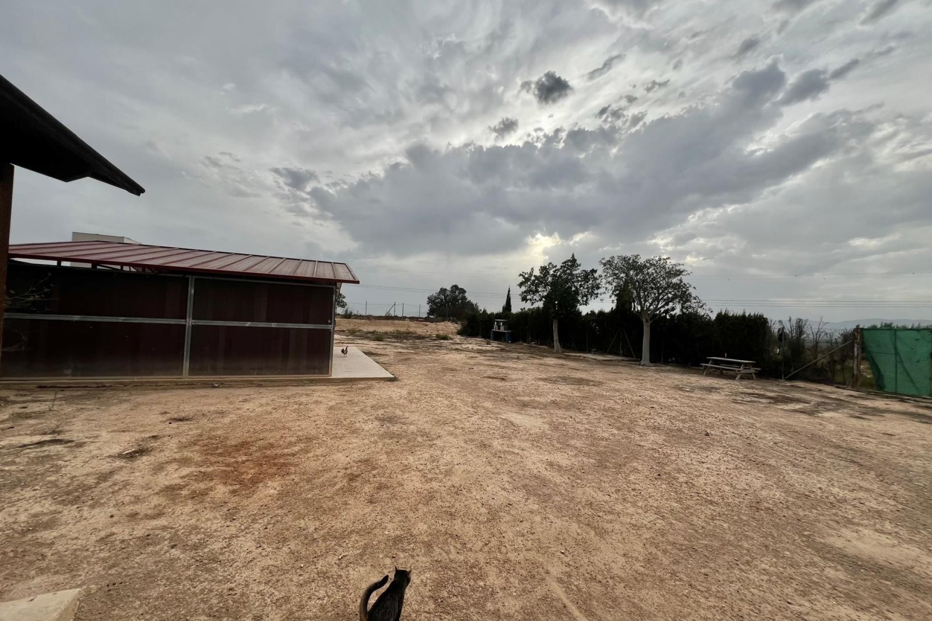 Sale - Finca / Country Property - San Fulgencio - San Fulgencio - Country