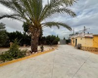 Sale - Finca / Country Property - San Fulgencio - San Fulgencio - Country