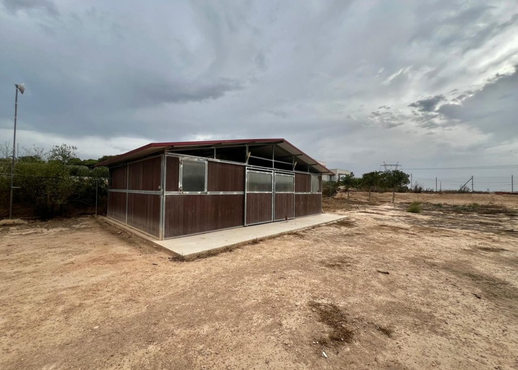 Sale - Finca / Country Property - San Fulgencio - San Fulgencio - Country