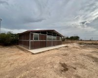 Sale - Finca / Country Property - San Fulgencio - San Fulgencio - Country