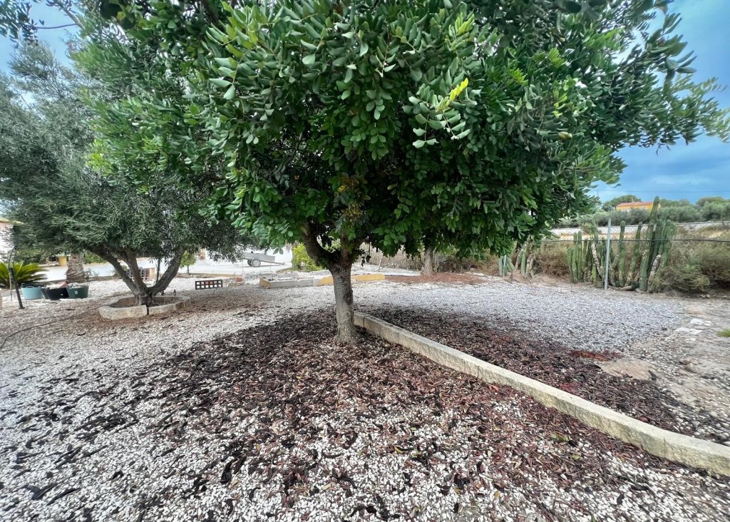 Sale - Finca / Country Property - San Fulgencio - San Fulgencio - Country