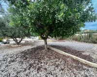 Sale - Finca / Country Property - San Fulgencio - San Fulgencio - Country