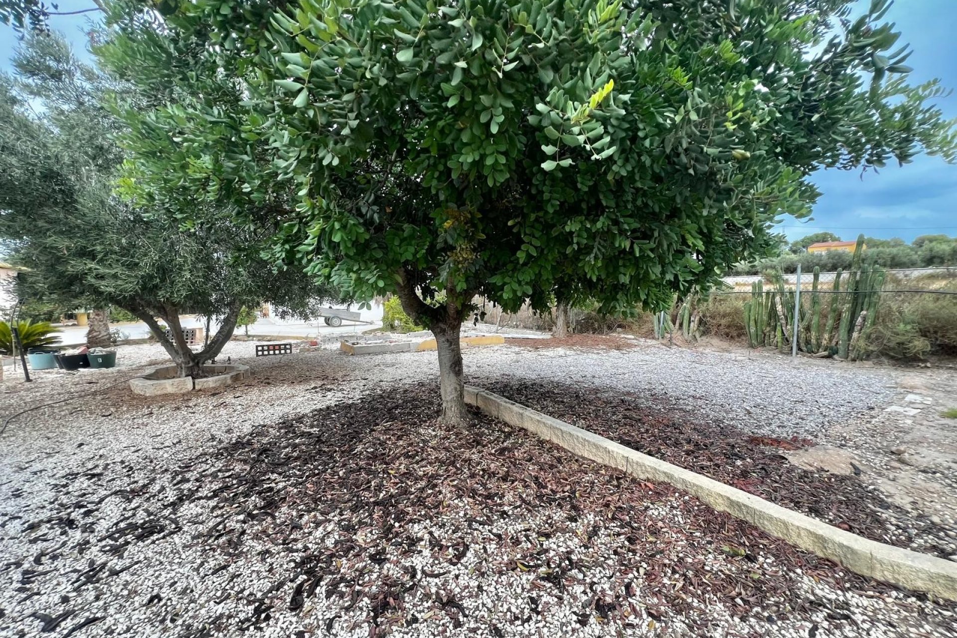 Sale - Finca / Country Property - San Fulgencio - San Fulgencio - Country
