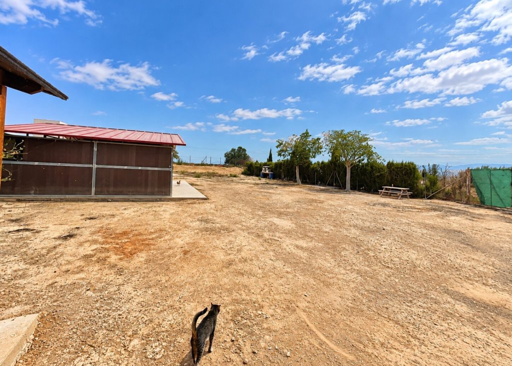 Sale - Finca / Country Property - San Fulgencio - San Fulgencio - Country