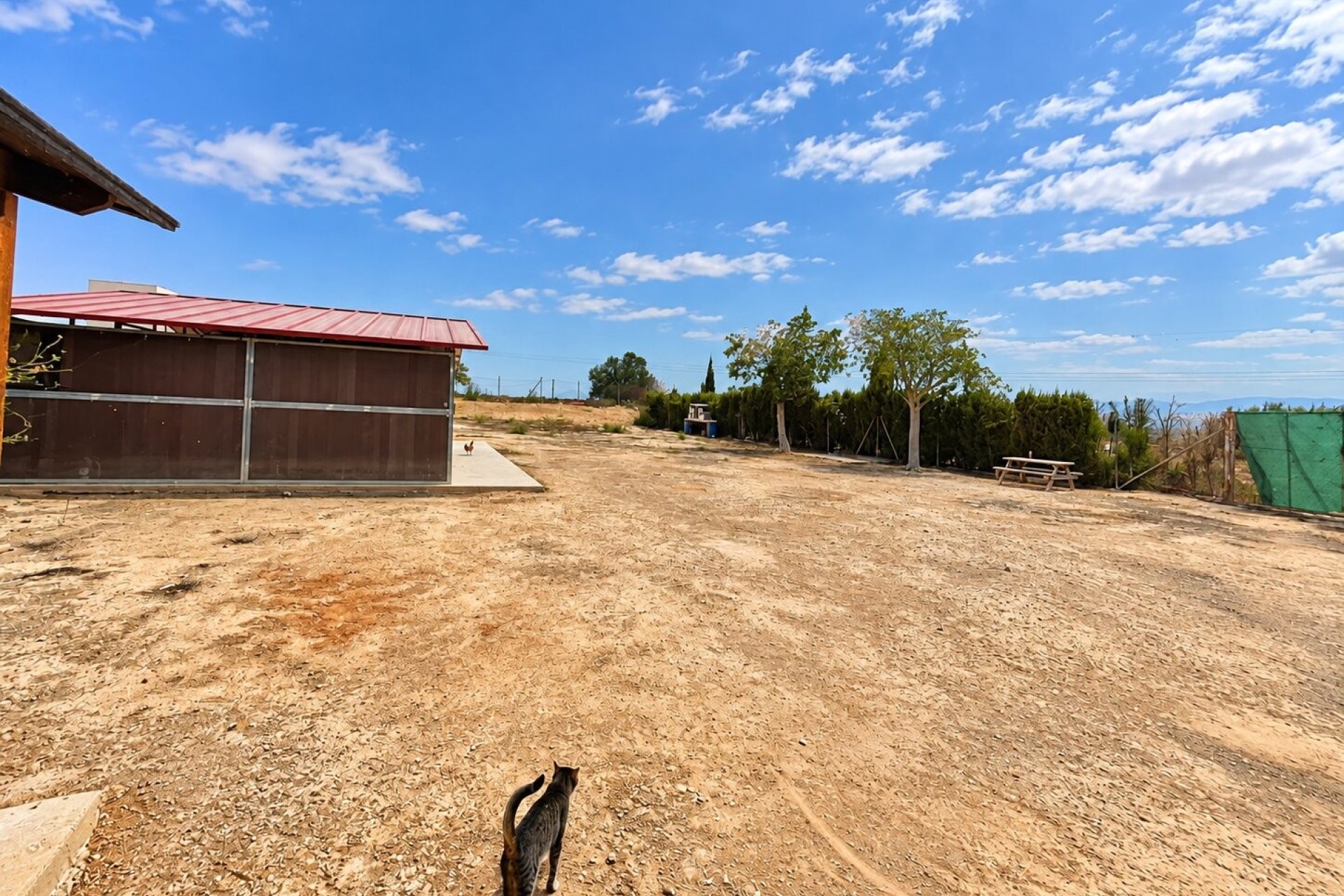 Sale - Finca / Country Property - San Fulgencio - San Fulgencio - Country
