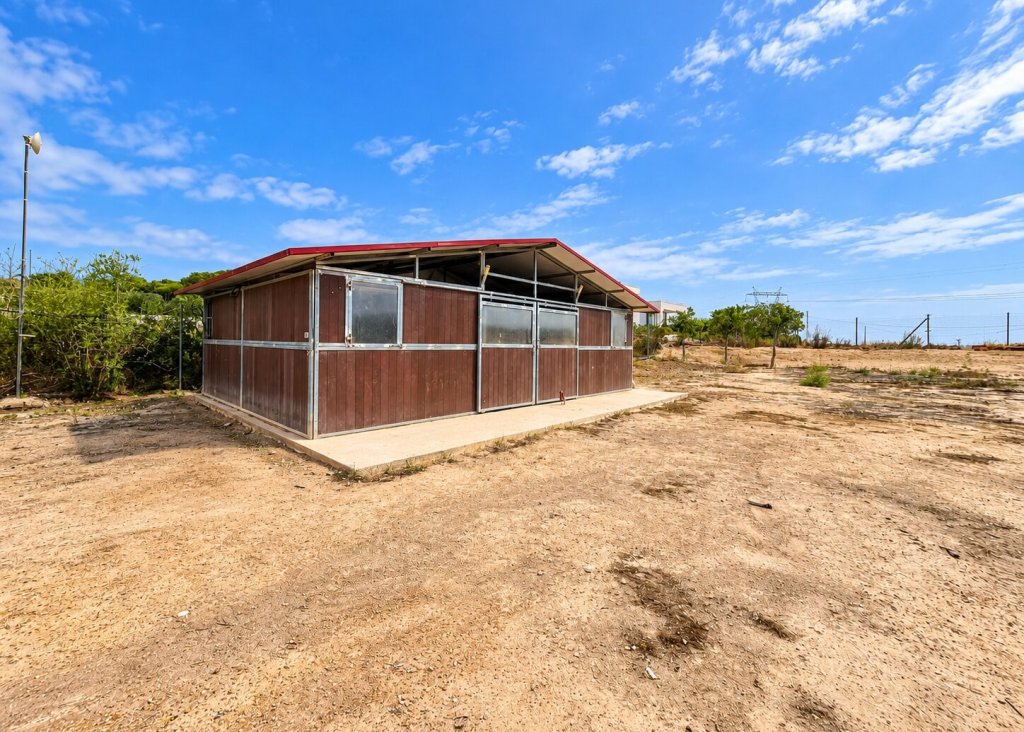 Sale - Finca / Country Property - San Fulgencio - San Fulgencio - Country