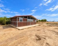 Sale - Finca / Country Property - San Fulgencio - San Fulgencio - Country