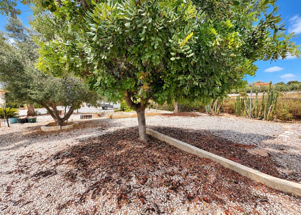 Sale - Finca / Country Property - San Fulgencio - San Fulgencio - Country