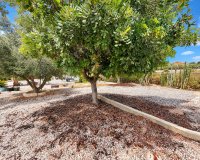Sale - Finca / Country Property - San Fulgencio - San Fulgencio - Country