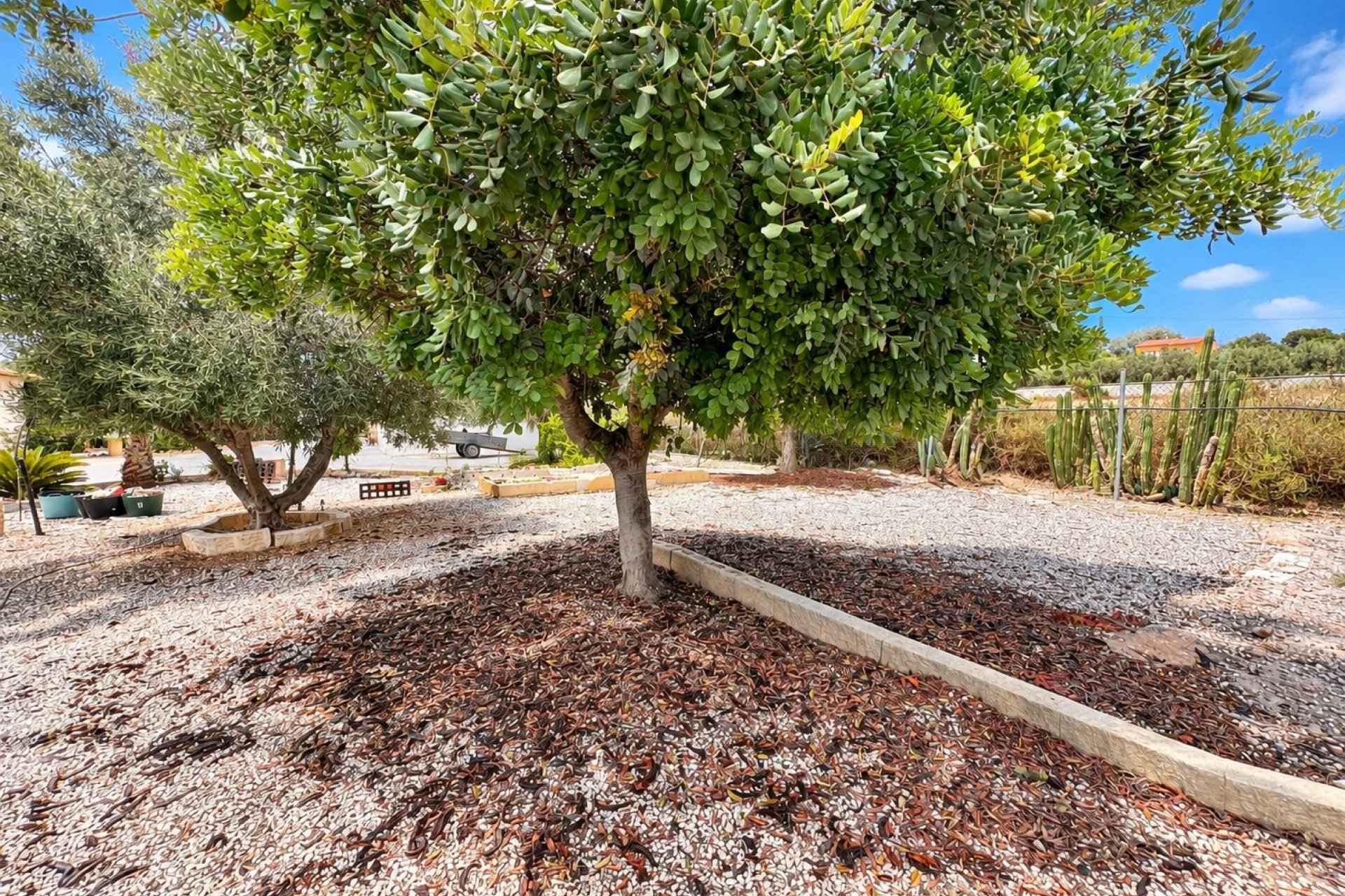 Sale - Finca / Country Property - San Fulgencio - San Fulgencio - Country
