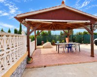 Sale - Finca / Country Property - San Fulgencio - San Fulgencio - Country