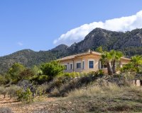 Sale - Independent villa - La Zarza - La Zarza Murcia